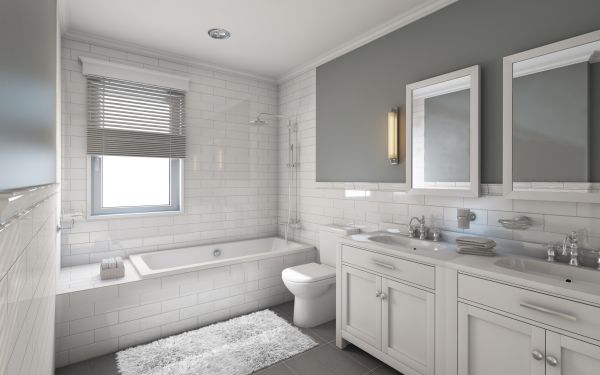 Cost of Restroom Remodeling in Breckenridge