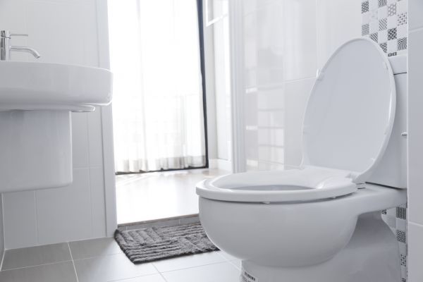 Cost of Toilet Relocation in Breckenridge